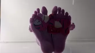 Sandra's Barefoot under glass crushing little tinies and pluchies PART2