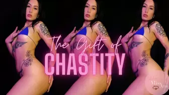 The Gift Of Chastity