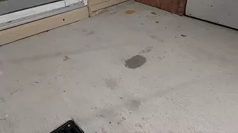 Cruella wash the flood outside