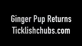 Ginger Pup Returns