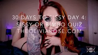 30 Days To Sissy Day 4: Sissy or Bimbo Test (MP4 SD)