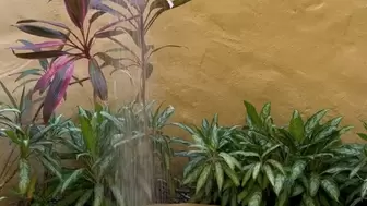 Sexy Outdoor Shower In Mexico