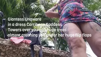 Giantess Unaware in a dress Carribean Goddess Towers over you and huge trees almost crushing you under her huge flip flops mkv