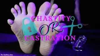 Chastity Or Castration - HD