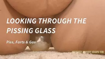 LOOKING THROUGH THE PISSING GLASS