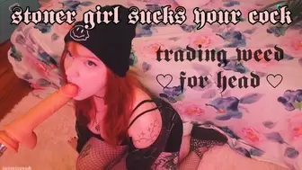 stoner girl sucks your dick
