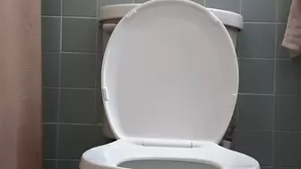 Toilet Masterbation