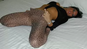 Taylor Renee Sexy Leopard Pantyhose with Mean Aggressive Jerk Off Encouragement! "My clit is bigger than your cock!"
