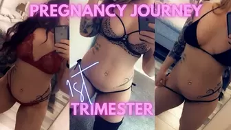 Pregnancy Journey First Trimester