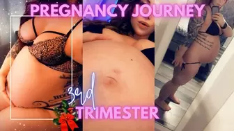 Pregnancy Journey Third Trimester