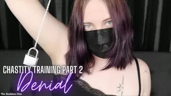 Chastity Training Part 2: Denial - HD