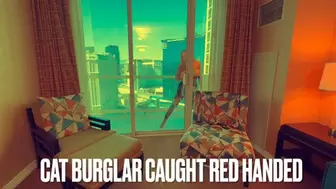 Cat Burglar Caught Red Handed