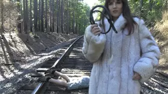 Whipped On The Tracks