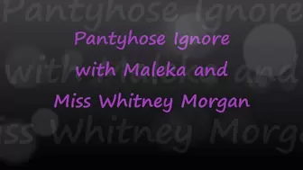 Maleka & Miss Whitney Morgan: Pantyhose Ignore POV