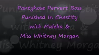 Maleka & Whitney: Pantyhose Perving BossChastity Punishment