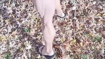 Tempest in flip flops walking in leaves