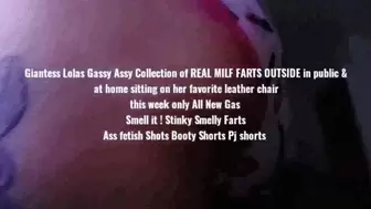 Giantess Lolas Gassy Assy Collection of REAL MILF FARTS OUTSIDE in public & at home sitting on her favorite leather chair this week only All New Gas Smell it ! Stinky Smelly Farts Ass fetish Shots Booty Shorts Pj shorts mkv