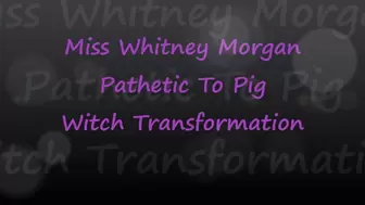 Pathetic To Pig: Witch Transformation