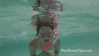 Snorkeling in the Ocean - 720p