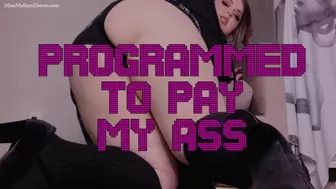 Programmed to Pay My Ass