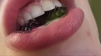 MULTICOLORED JELLIES ARE BURSTING IN MY MOUTH!MP4