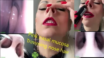 Nose hair cutting, pink nasal mucosa