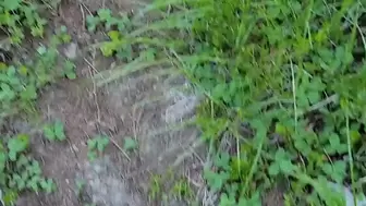 Pee in the Woods Compilation