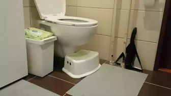 Quick 30min Toilet compilation with huge fart and lot of splashes & toilet sounds reup