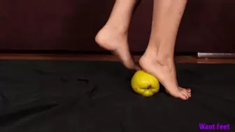 Barefoot Quince Crush - 4K MP4