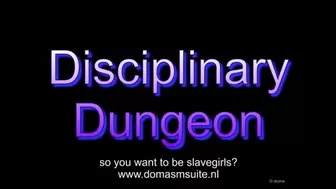 Two sexy girls get disciplined in a dungeon - wmv