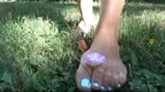 She crushes and rip grass with her small feet plays with little flowers with toes