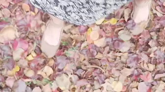 Tempest walking in leaves with her tan flats