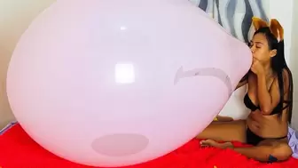 Sexy FOX Camylle Blows To Pop Your HUGE PINK SMILEY FACE Balloon