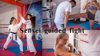 Sensei-guided fight