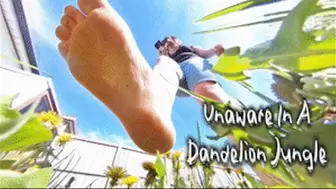 Unaware In A Dandelion Jungle EXTREME POV - HD 720p Version