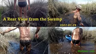 A Rear View from the Swamp, 2022-07-29