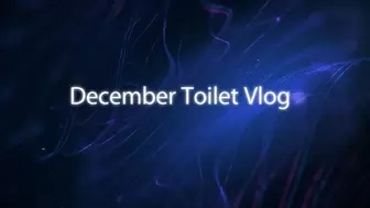 December Toilet Vlog *mp4*