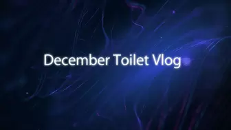December Toilet Vlog *wmv*
