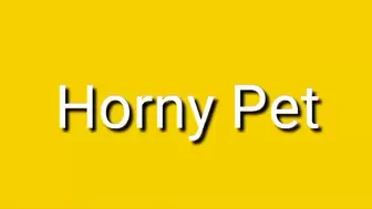 Horny Pet Trance