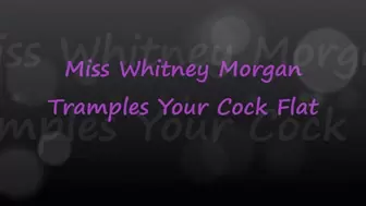 Miss Whitney Morgan Tramples Your Cock Flat