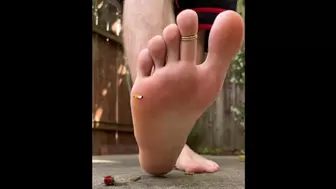 Seedlings and Tinies Trampled under Bare Soles