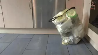 Trash bag crushing 20
