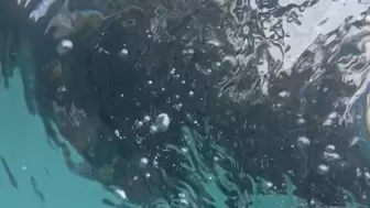 Underwater selfie play time