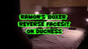 Ramon's Boxer Reverse Facesit on Duchess!