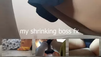 the shrinking boss