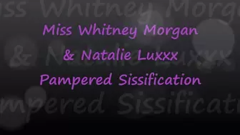 Miss Whitney Morgan & Natalie Luxx: Pampered Sissification POV