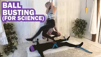 Ballbusting For Science