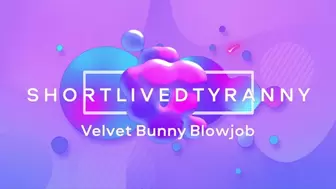 Velvet Bunny BJ