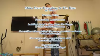 Milos Slave Trampling In The Gym 4K Full Video 30 Mins