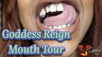 Dominating Mouth Tour
